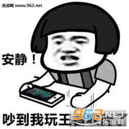 别找我我有排位恐惧症王者荣耀表情包图片大全咱们玩这个吧王者荣耀表情包下载乐游网游戏下载