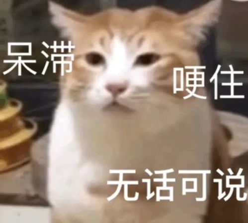 当红男爱豆尺度视频曝光,被曝玩弄女性,公开道歉