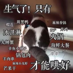 撒娇专用哼,我生气了