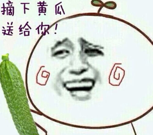 开心一笑高中上网,认识了一个初中的mm,为讨得她欢心