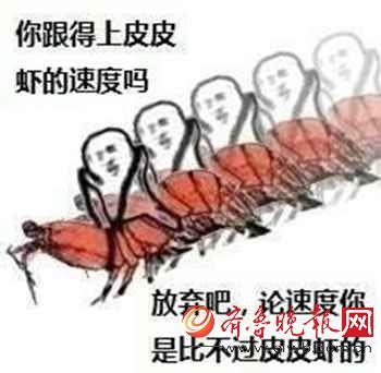 皮皮虾我们走什麽意思有什麽特殊的含义一大堆水产系列表情包就上线了
