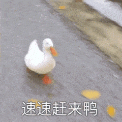 周末安排烟台这几个宝藏打卡地,景美,还免费