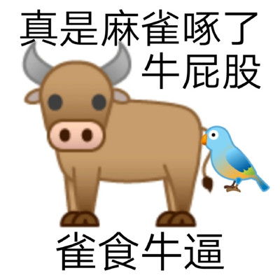 超好笑又很有趣的聊天表情合集