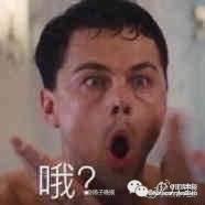 大家别用表情包吓小李子,他疯起来连熊都打
