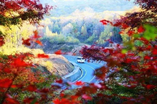 线路秋日吉林,枫中等你