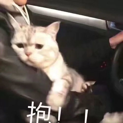 淘宝9块9包邮就能剁手的好物种草第二波