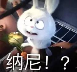 在这些情况下车辆违章,先别急着交罚款可以申诉