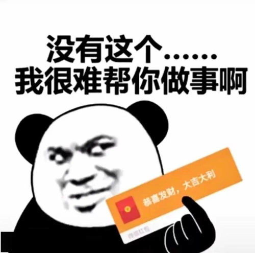 选我选我我可以