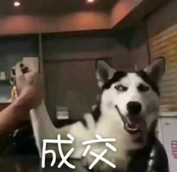吓吓吓尿了本周天津最高温直逼38还有阵风7级,两场中雨,更恐怖的是