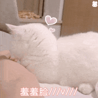 抖音近期最火的表情包,是这些