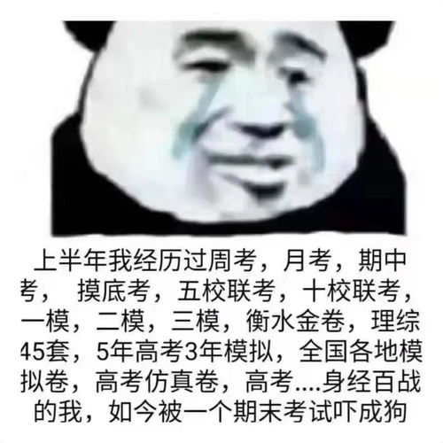 自从微信上了新功能,这些表情包疯了