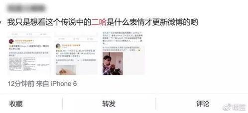 新浪微博那些有趣的小黄脸表情是如何设计的
