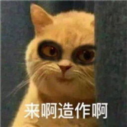 熬夜修仙表情包来啊,造作啊