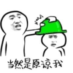 似懂非懂表情包绿帽子