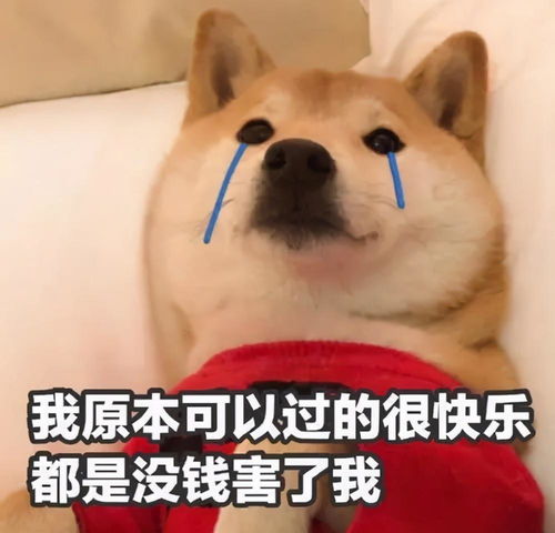 为了买房,我都扣成什么样了