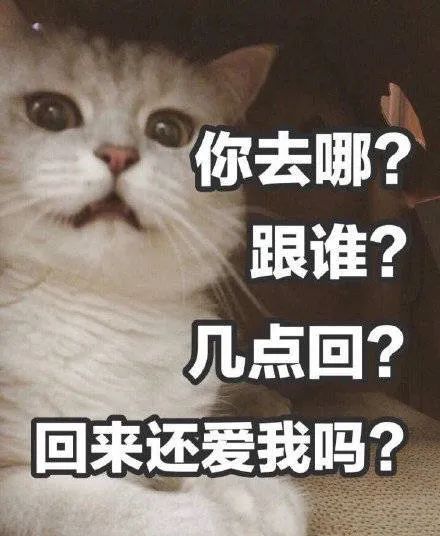 懂事点好吗