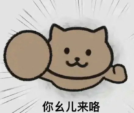 猫猫头动图表情包