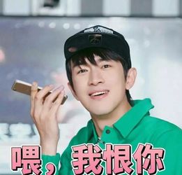 赵又廷曝林更新小秘密,这个公益活动绝对是大福利