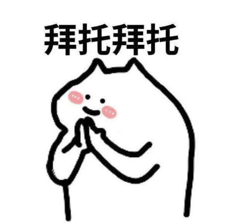 猫猫表情包过年讨红包必备