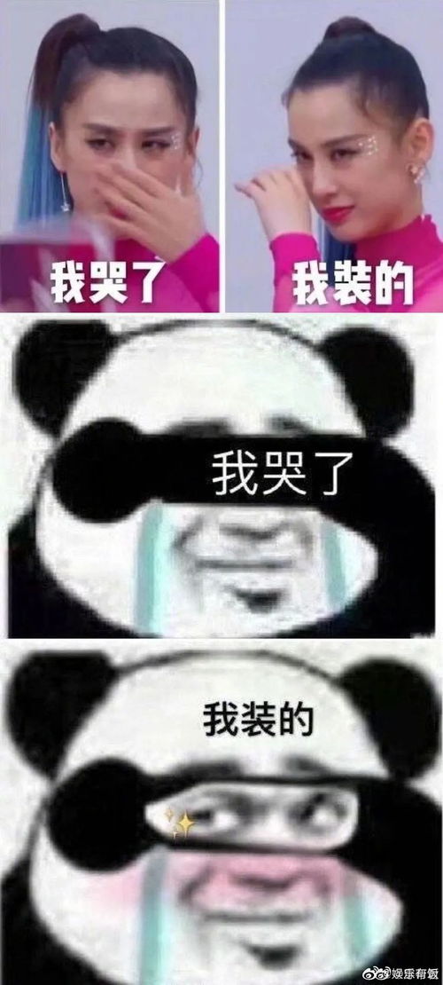 明星表情包我哭了,我装的