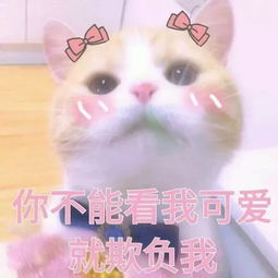 聊天怎能少了这些表情包呢