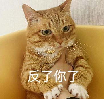 妹子斥资俩罐请流浪猫抓老鼠,它兢兢业业地蹲守三天网友孩子真仗义