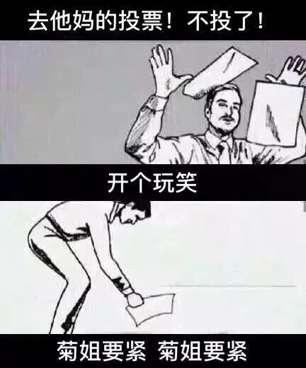 小编必备菊姐表情包附则菊姐同款应援头像
