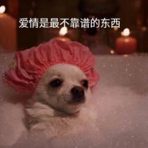 楼上的女孩子真可怜,天天晚上被男朋友欺负
