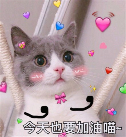 反抗无效的表情包图片