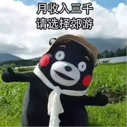 黄金矿工赚钱表情包国庆