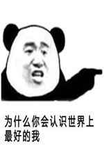 为什么你会认识世界上最好的我表情包好玩吗为什么你会认识世界上最好的我表情包怎么玩用户评论