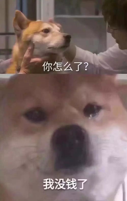 月薪20000南京新职业人群薪资出炉