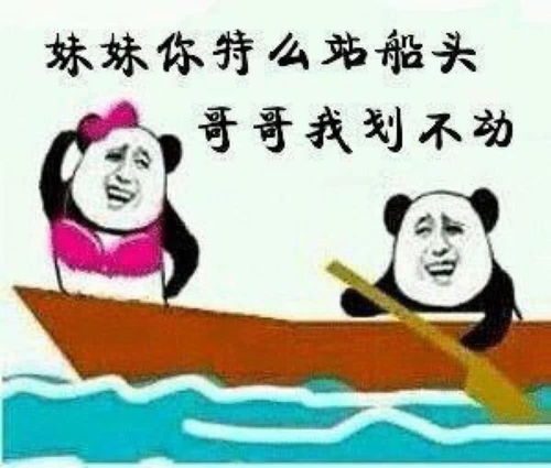 表情怼直男表情包,女生请慎重,网友笑死我了表情