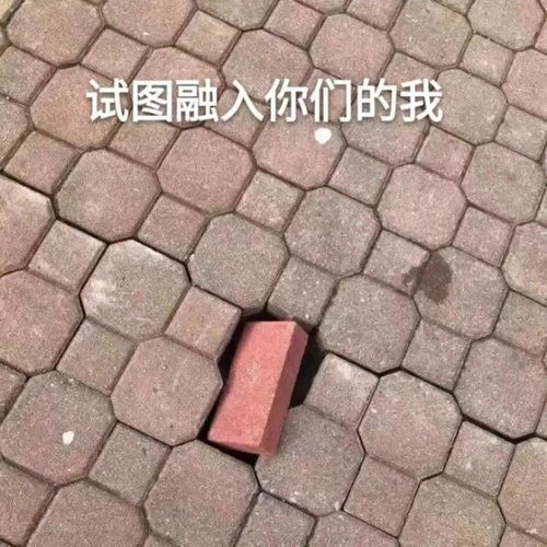 u1s1,这届年轻人有点难懂