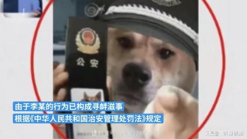 宁夏男子因对疫情管控不满,在微信群中发狗狗表情包辱警被拘9日