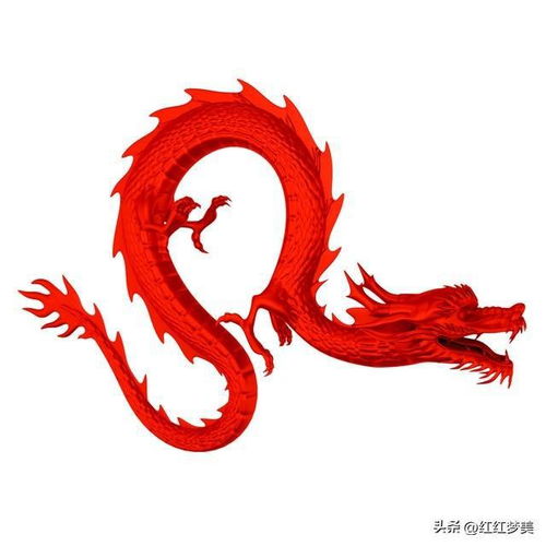 让属龙人崩溃的是什么事