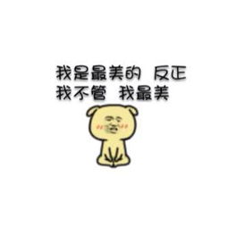 求这个黄耳朵小狗的表情包谢谢啦