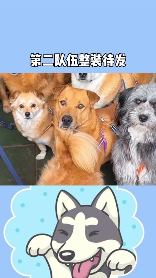 第二队伍整装待发