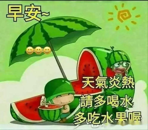 天热人热心不热,风爽人爽心更爽,祝初夏快乐,早安