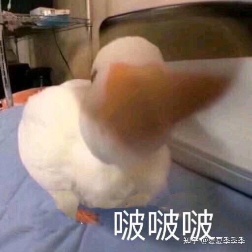 雅诗兰黛眼霜和兰蔻发光眼霜该买哪个
