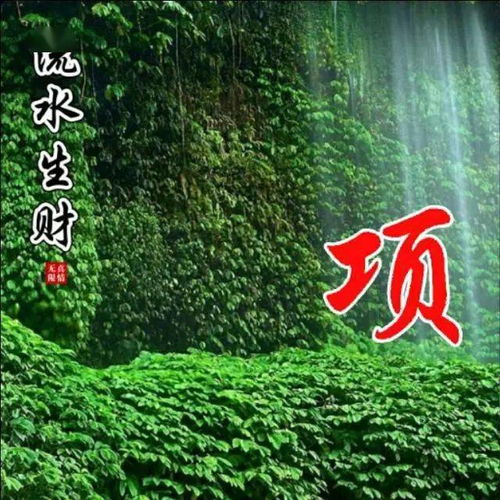 中老年头像大全110张流水生财姓氏头像,竹林深处有人家,几多幽静几多愁,竹林深处姓氏微信头像