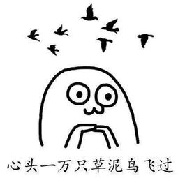 笑话我赶紧解释虾啊领导领导虾啊领导真是虾啊真是虾啊