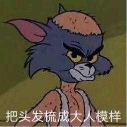 沈以诚焦迈奇徐秉龙