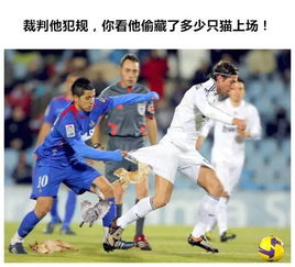 体坛名将看了想打人