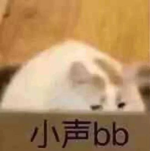 你为出国考试花过多少钱