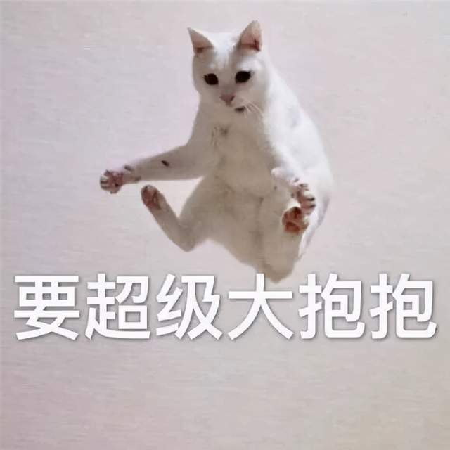 可爱沙雕表情包,你懂我的奇奇怪怪,我陪你一起可可爱爱