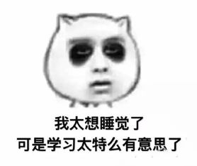 留学生代写怎么收费