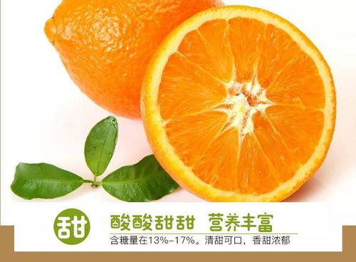 365抢鲜纽荷尔脐橙,来自深山的问候