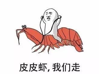 2017年最火的网络流行语用英语该怎么说