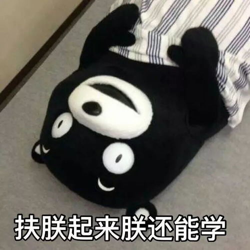 等你上了大学,你就自由了